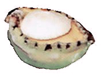 [Product Image]